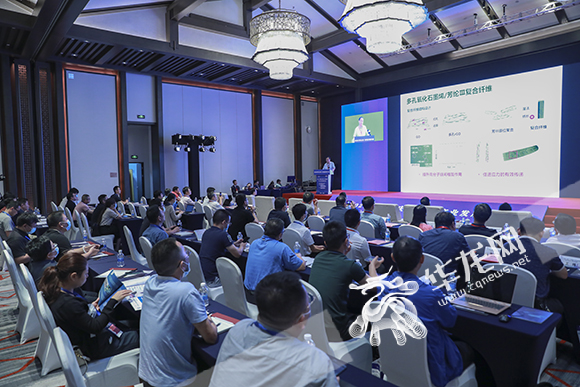 12位石墨烯领域专家重庆论剑 聚焦前沿材料应用与智能高端转型