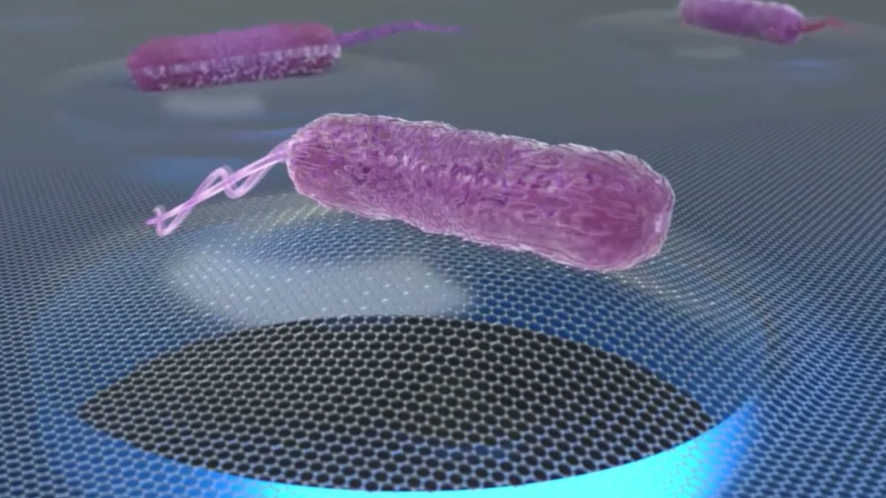 SoundCell是石墨烯旗舰合作伙伴代尔夫特理工大学的分拆公司，从UNIIQ获得350万欧元