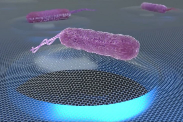 graphene based biosensor to deliver antibiotic sensitivity test using nanoscale forces