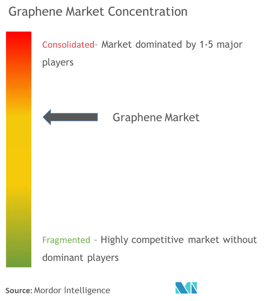 “全球石墨烯集团，第六元素（常州）材料科技有限公司，XG科学公司，Perpetuus Advanced Materials PLC，Morsh”