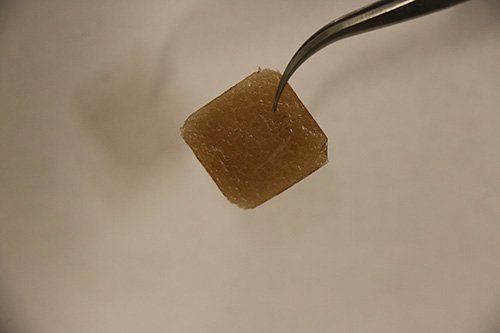 发热的衣服材料还能防止蚊子叮咬？石墨烯材料在防蚊上有双重保护作用