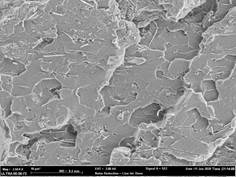 纳米碳/环氧树脂复合材料和我——彷徨在迷失的边缘，所幸勇往直前