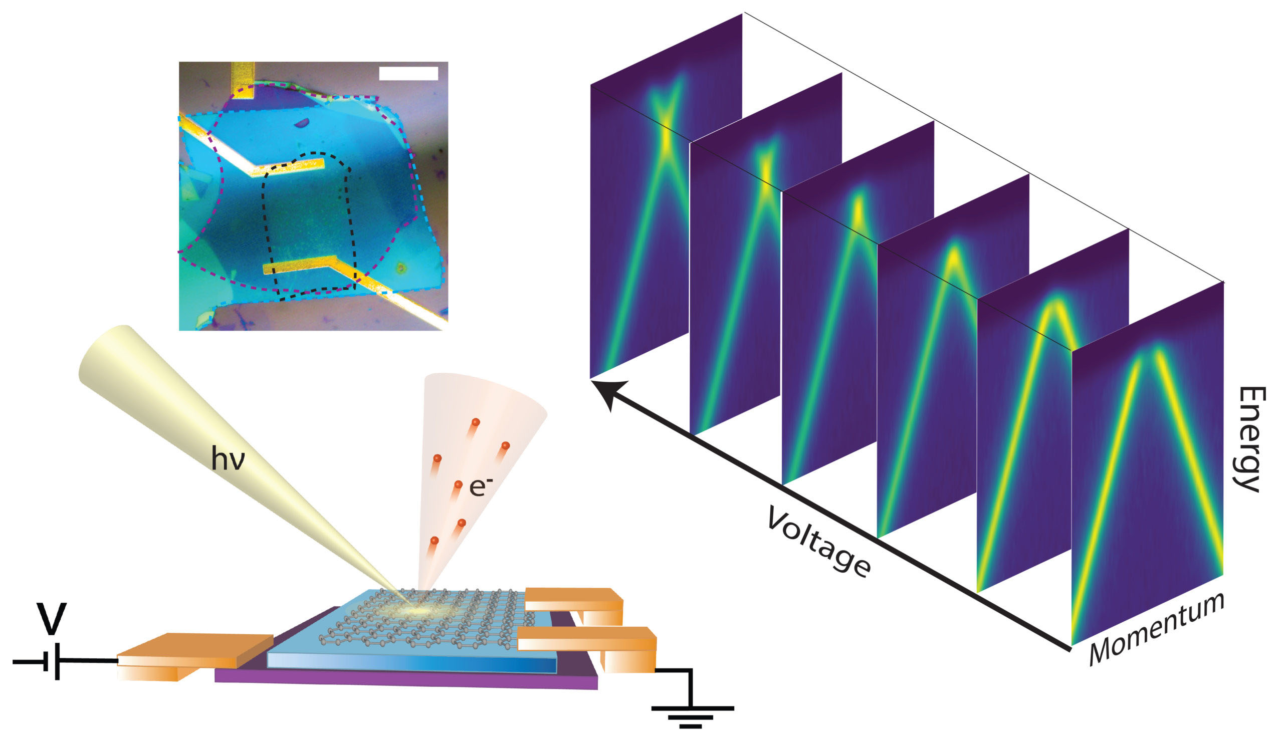 右侧是各种电压下的ARPES数据。左上角，样品的图像。左下角，实验示意图