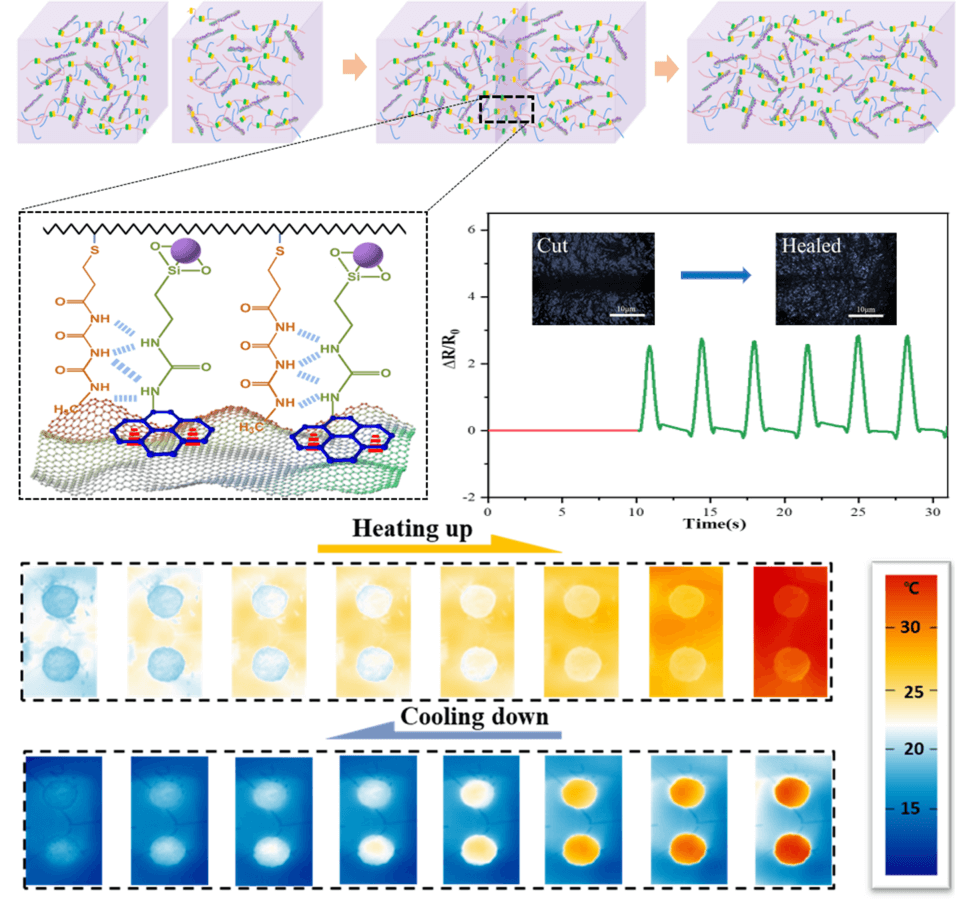 Advanced Functional Materials:面向可穿戴电子的多功能、自修复多支化聚氨酯复合薄膜