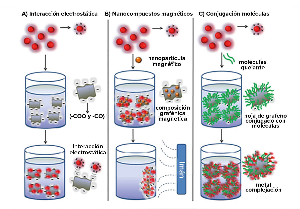 使用石墨烯进行纯化和/或海水淡化