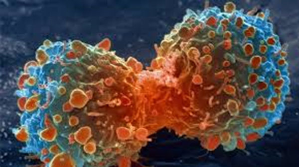 石墨烯在人体中的一些潜在用途