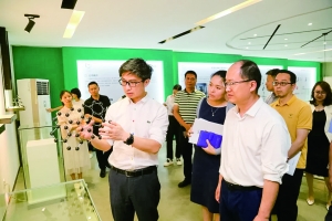 道滘举办新材料产业供需对接会 推动南丫片区连片改造，谋划布局“新材料小镇”