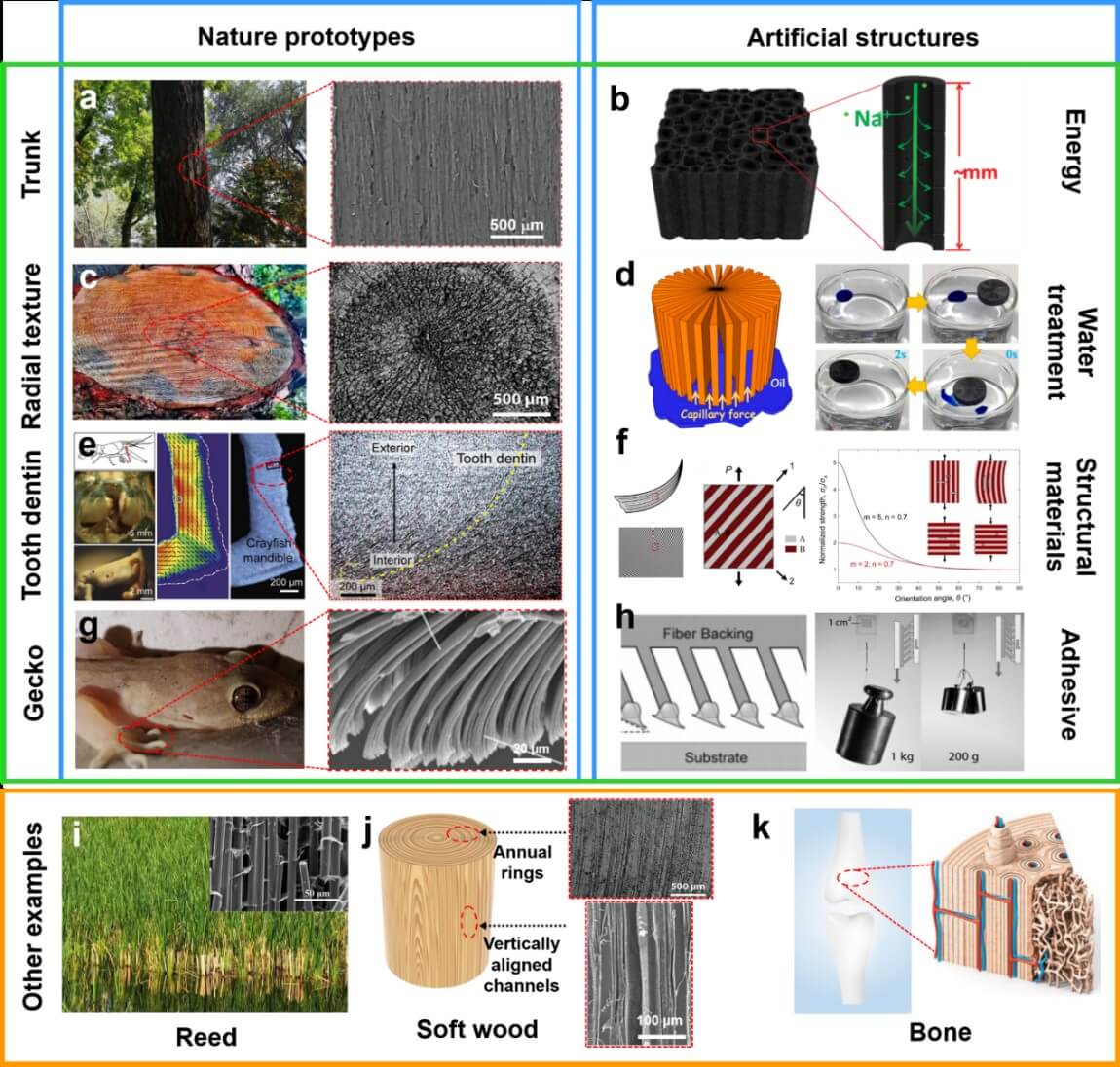 四川大学傅强教授/吴凯副研究员Advanced Materials综述：受自然界垂直结构的启发，定构加工架起聚合物复合材料结构与性能间的桥梁