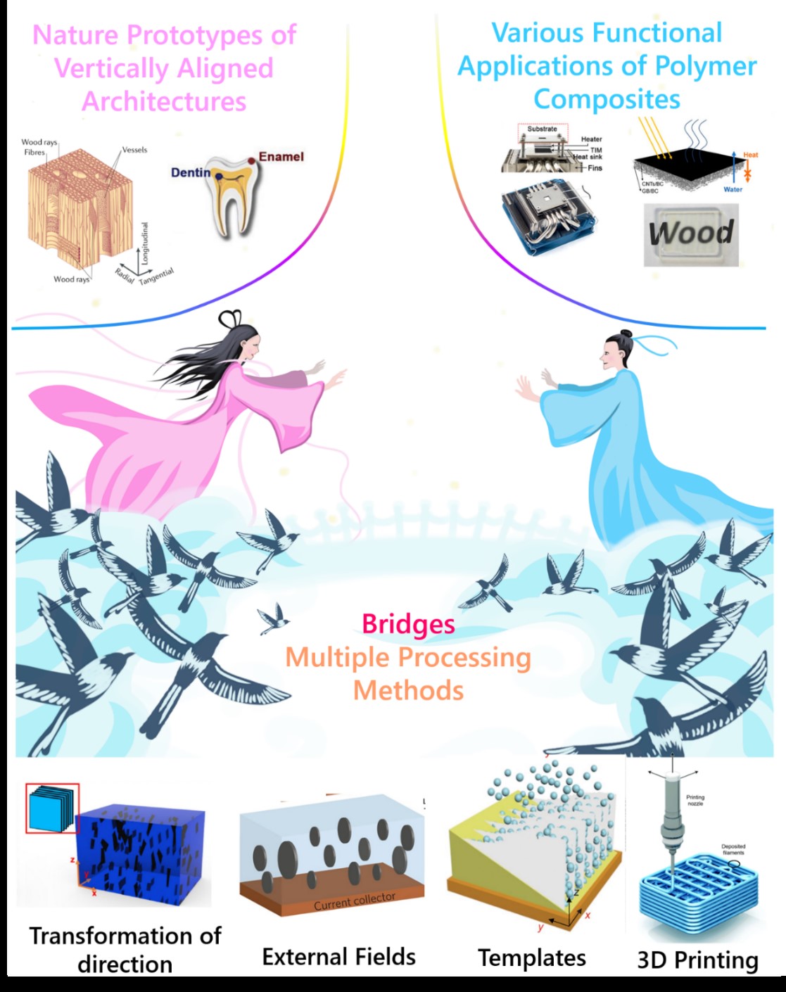 四川大学傅强教授/吴凯副研究员Advanced Materials综述：受自然界垂直结构的启发，定构加工架起聚合物复合材料结构与性能间的桥梁