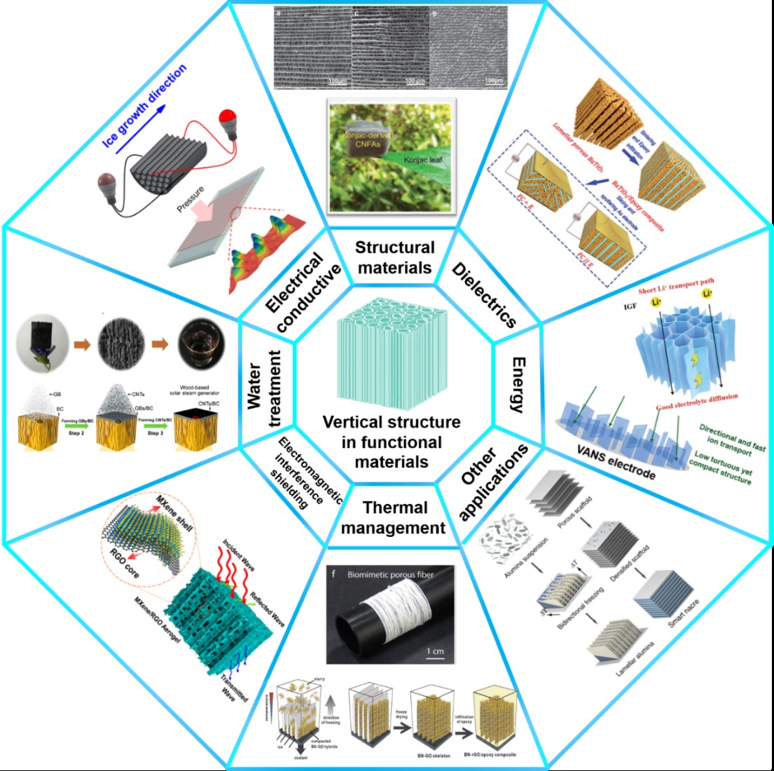 四川大学傅强教授/吴凯副研究员Advanced Materials综述：受自然界垂直结构的启发，定构加工架起聚合物复合材料结构与性能间的桥梁