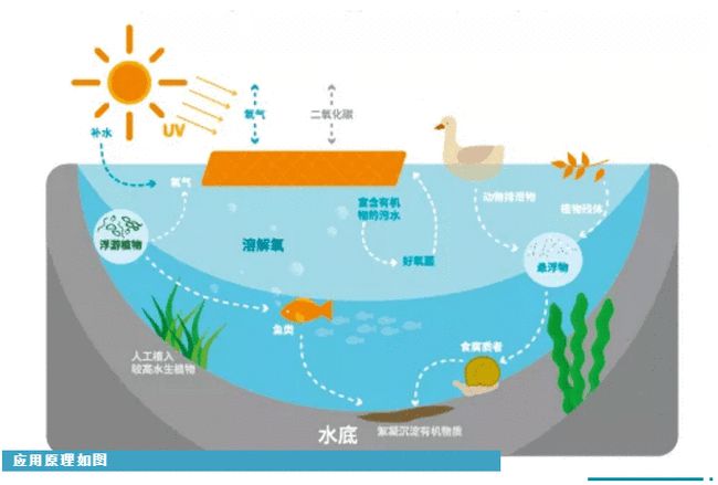 科普丨环保新材料“石墨烯光催化网膜”，是什么来头？
