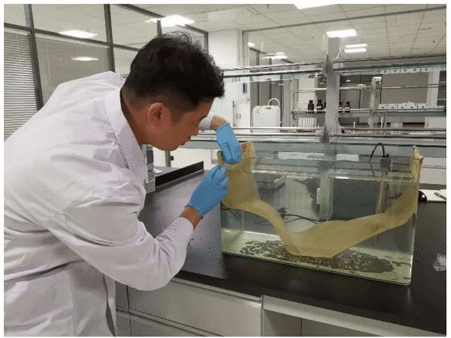 科普丨环保新材料“石墨烯光催化网膜”，是什么来头？