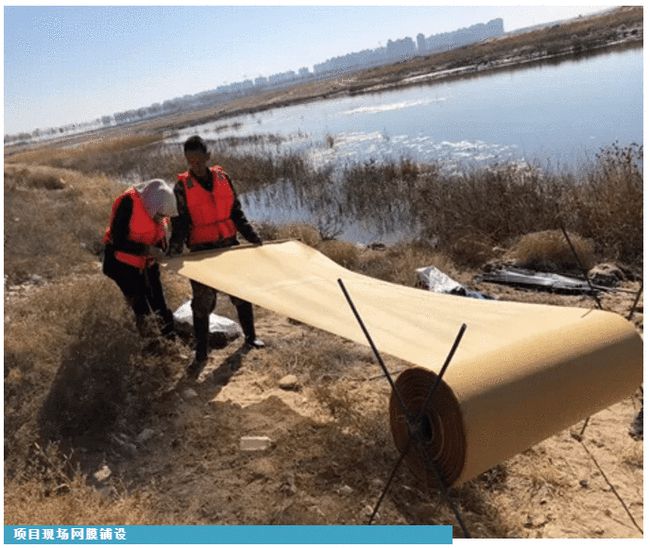 科普丨环保新材料“石墨烯光催化网膜”，是什么来头？