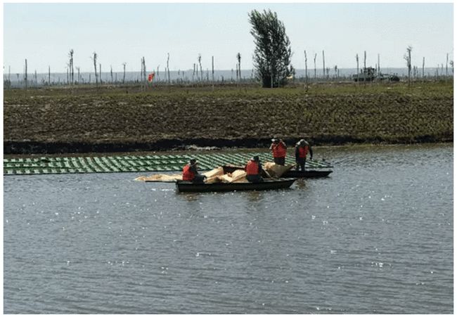 科普丨环保新材料“石墨烯光催化网膜”，是什么来头？