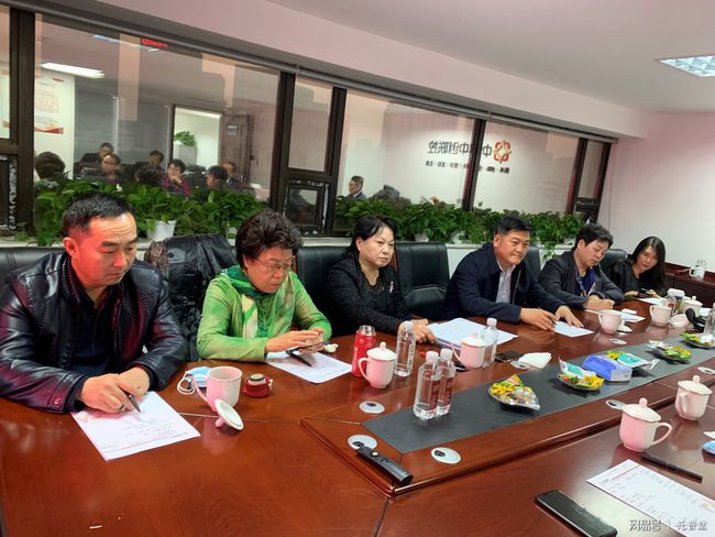 “碳达峰”“碳中和”和新能源项目专家研讨会在京召开