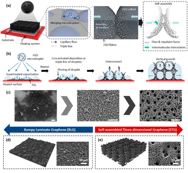 ACS Nano：三维石墨烯又玩出新高度！