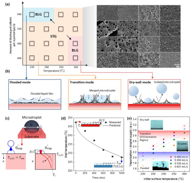 ACS Nano：三维石墨烯又玩出新高度！