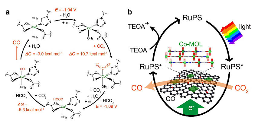 石墨烯模板化合成超薄金属有机层加速光生电子传输助力二氧化碳光还原