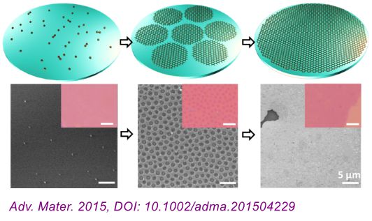 《Adv. Mater.》：熔融态玻璃表面上石墨烯的可控直接生长