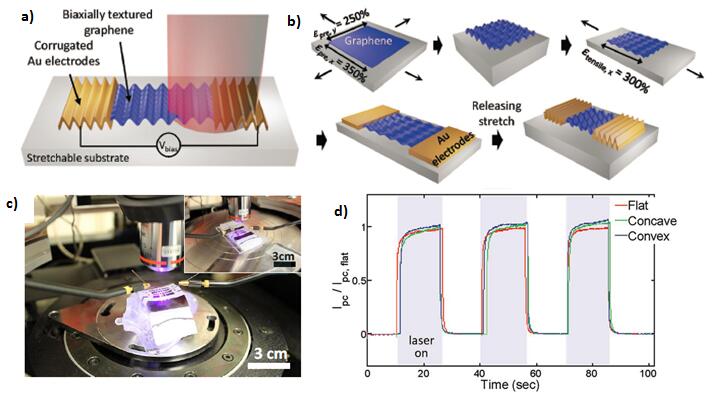 “皱纹”的妙用——可植入体内的弹性石墨烯光电探测器