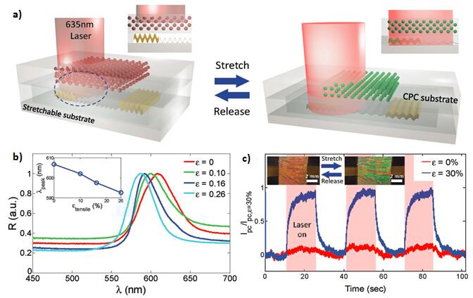 “皱纹”的妙用——可植入体内的弹性石墨烯光电探测器