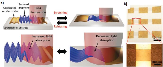 “皱纹”的妙用——可植入体内的弹性石墨烯光电探测器