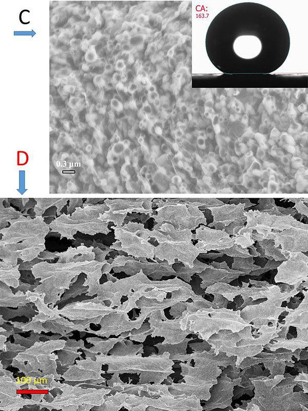 “塑料王”也能变身气凝胶