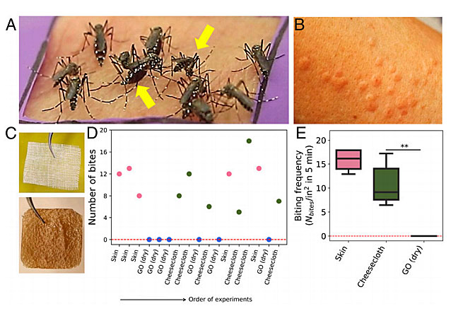 对付蚊子？是时候祭出这种“诺奖”材料了
