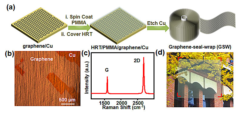 ACS Mater. Lett. | 石墨烯“保鲜膜”——空气中不稳定2D材料的防护服