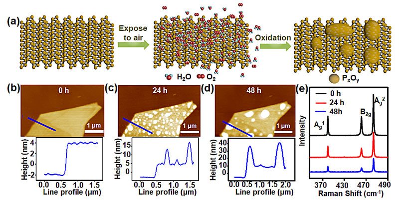 ACS Mater. Lett. | 石墨烯“保鲜膜”——空气中不稳定2D材料的防护服