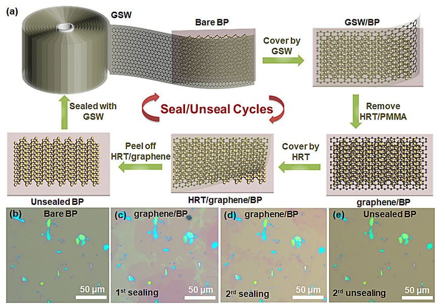 ACS Mater. Lett. | 石墨烯“保鲜膜”——空气中不稳定2D材料的防护服