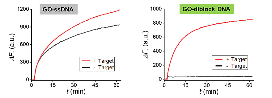 DNA和氧化石墨烯的“冰与火之歌”
