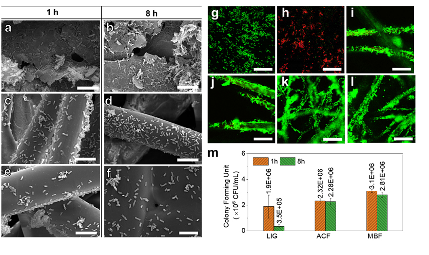 ACS Nano┃自我反馈式激光诱导石墨烯口罩在光热增强快速杀菌中的应用