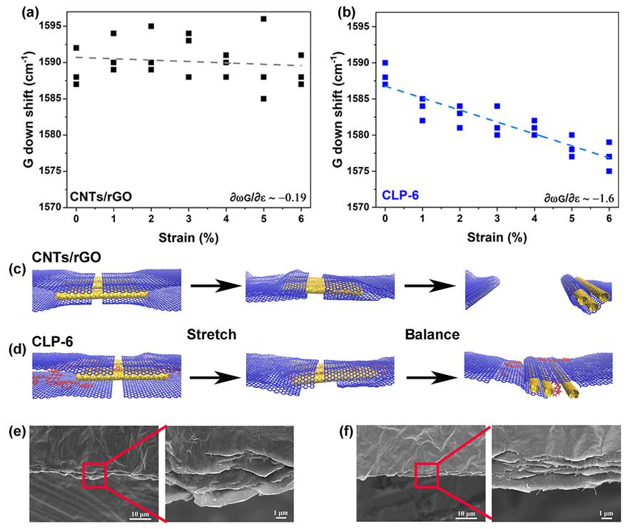 ACS AMI┃通过π-π作用交联的超高强度碳纳米管/石墨烯复合纸