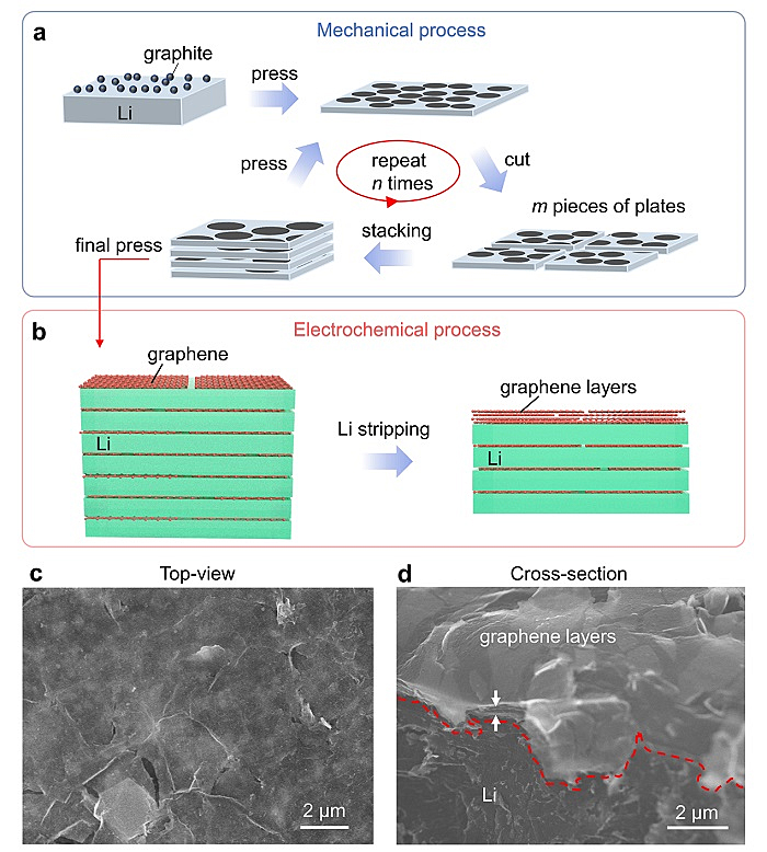 余桂华团队AM：实现锂金属颗粒可逆沉积的超共形可拉伸石墨烯薄膜