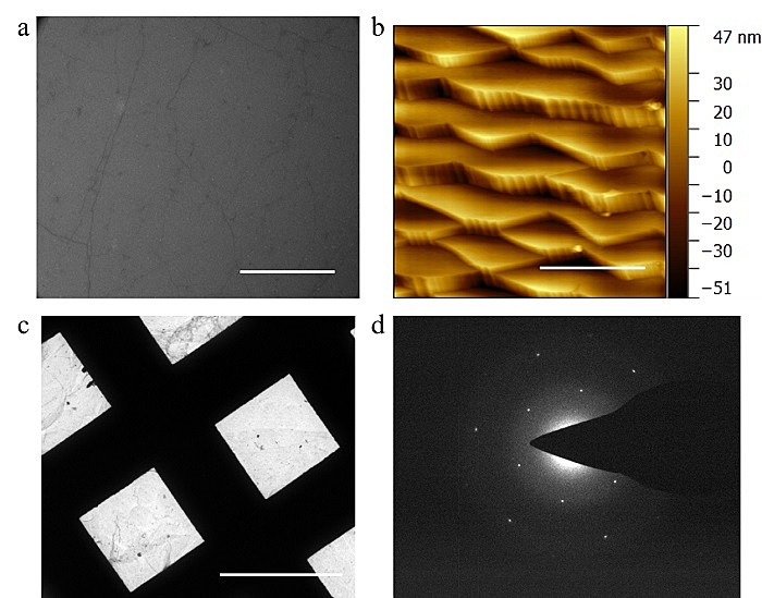 Chem. Eng. J.：呼吸法制备大面积高质量均匀的石墨烯薄膜，推动石墨烯的工业化制备和应用