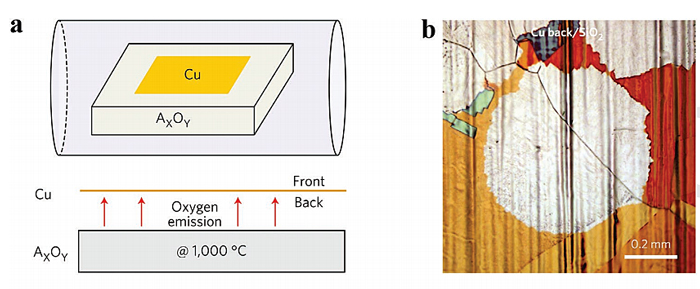 天津大学胡文平、耿德超团队AM：大尺寸二维单晶材料在铜基底上的可控成长