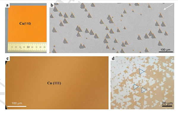 天津大学胡文平、耿德超团队AM：大尺寸二维单晶材料在铜基底上的可控成长