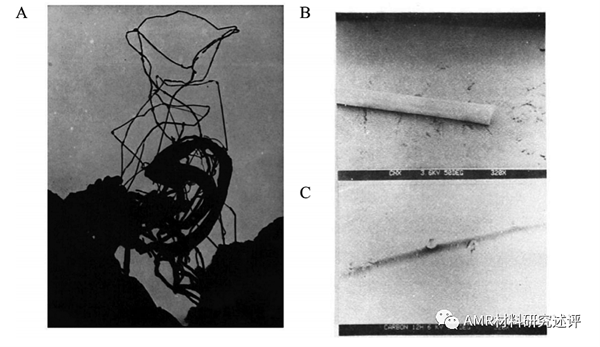 AMR新文联播：“被遗忘的”石墨烯家族成员的再发现