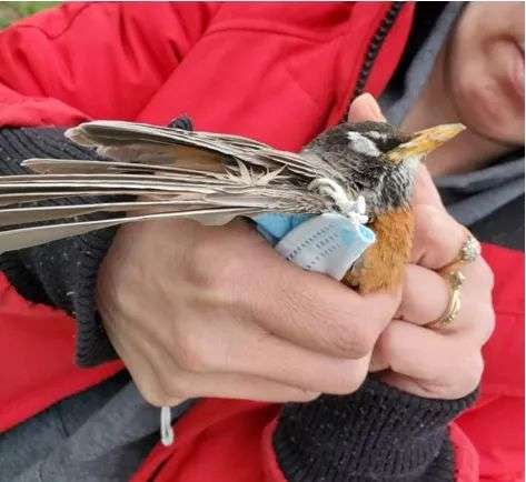 废口罩盖楼，体热烧水……还有什么变废为宝的方法是我想不到的？