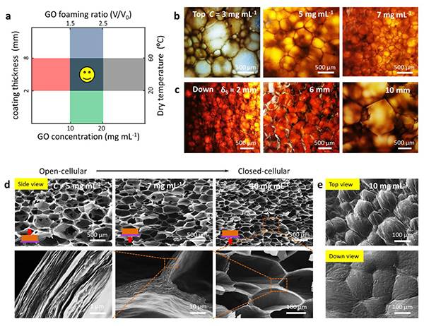 ACS Nano：大气环境直接浆料铸造高性能石墨烯气凝胶