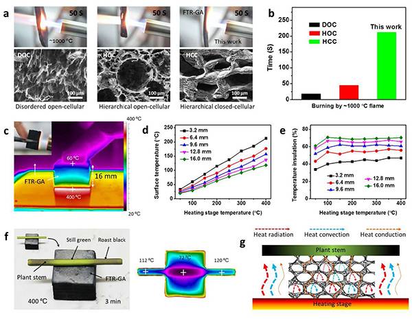 ACS Nano：大气环境直接浆料铸造高性能石墨烯气凝胶