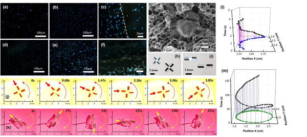 清华孙洪波/吉大张永来《AFM》:激光诱导石墨烯胶带作为可粘贴式标签制备集成化光热MARANGONI致动器