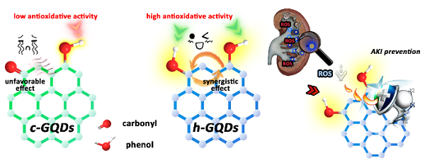 长春应化所Chemical Science：富含类酚基团的石墨烯量子点用于治疗急性肾损伤