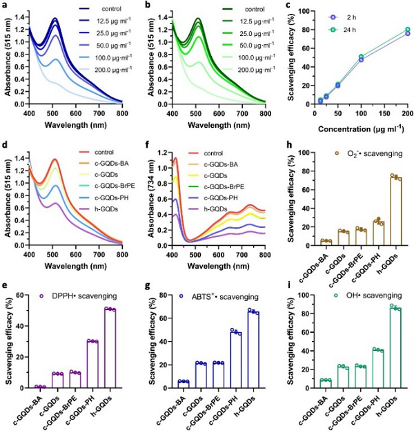 长春应化所Chemical Science：富含类酚基团的石墨烯量子点用于治疗急性肾损伤