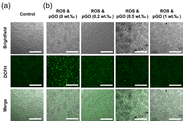 西南交通大学鲁雄教授课题组：多功能电活性仿生支架用于皮肤伤口修复