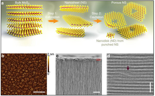 二维材料&海水脱盐：强强联合，鼎力推荐！