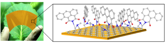 梳理：二维材料的发展离不开这些热点材料的突破性进展