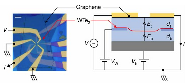 梳理：二维材料的发展离不开这些热点材料的突破性进展
