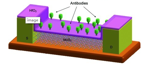 梳理：二维材料的发展离不开这些热点材料的突破性进展